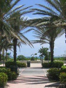 Hawaii Hotel Miami Beach Buitenkant foto